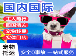 福州长乐空运代理国际宠物托运 【国